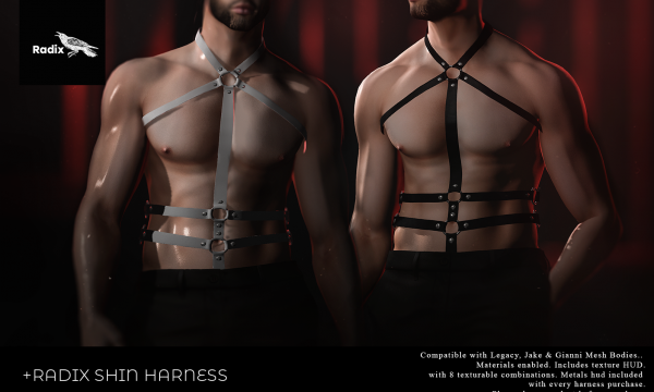 Radix - Shin Harness. Individual L$250 | Fatpack L$999. Demo Available ★.