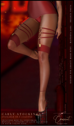 Consent Boutique – Carly Stockings.