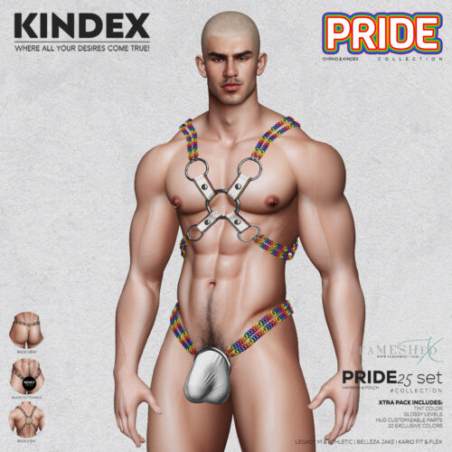 KINDEX - Rapha Harness & B Pouch, Pride 25 Harness & Pride B Pouch.